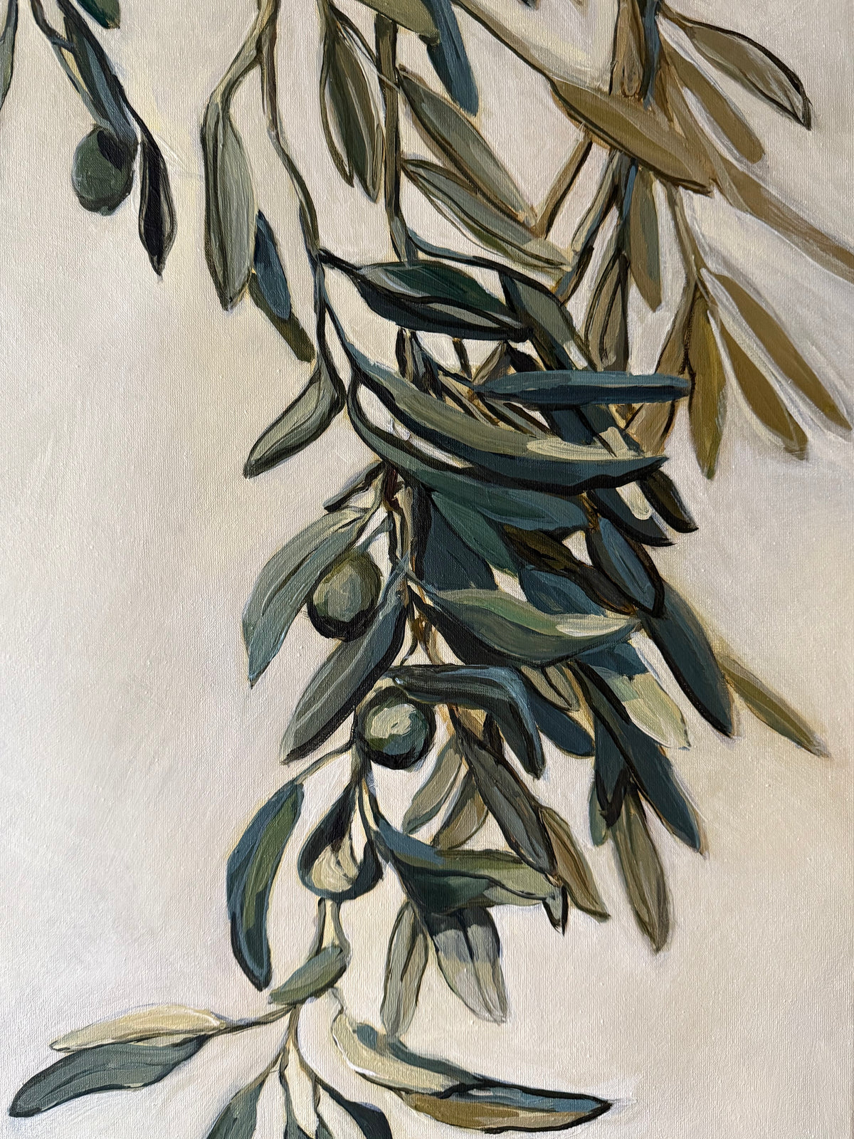Olive branch